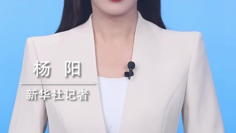 企业搜索与知识管理：本质区别与实际应用